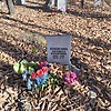 Белебезова Людмила Кодыровна
