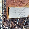 Файзулина Гайша Насыровна