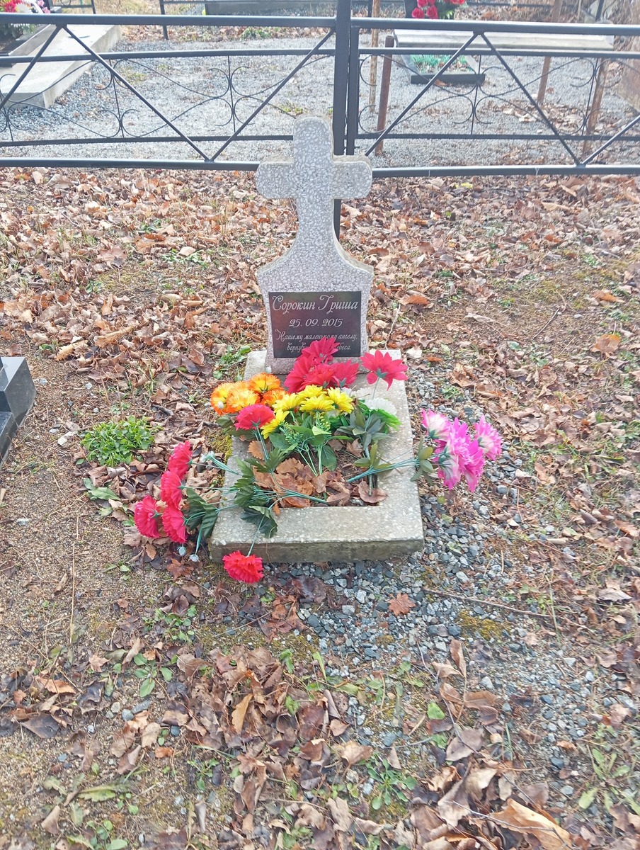 Сорокин Гриша Неизвестно