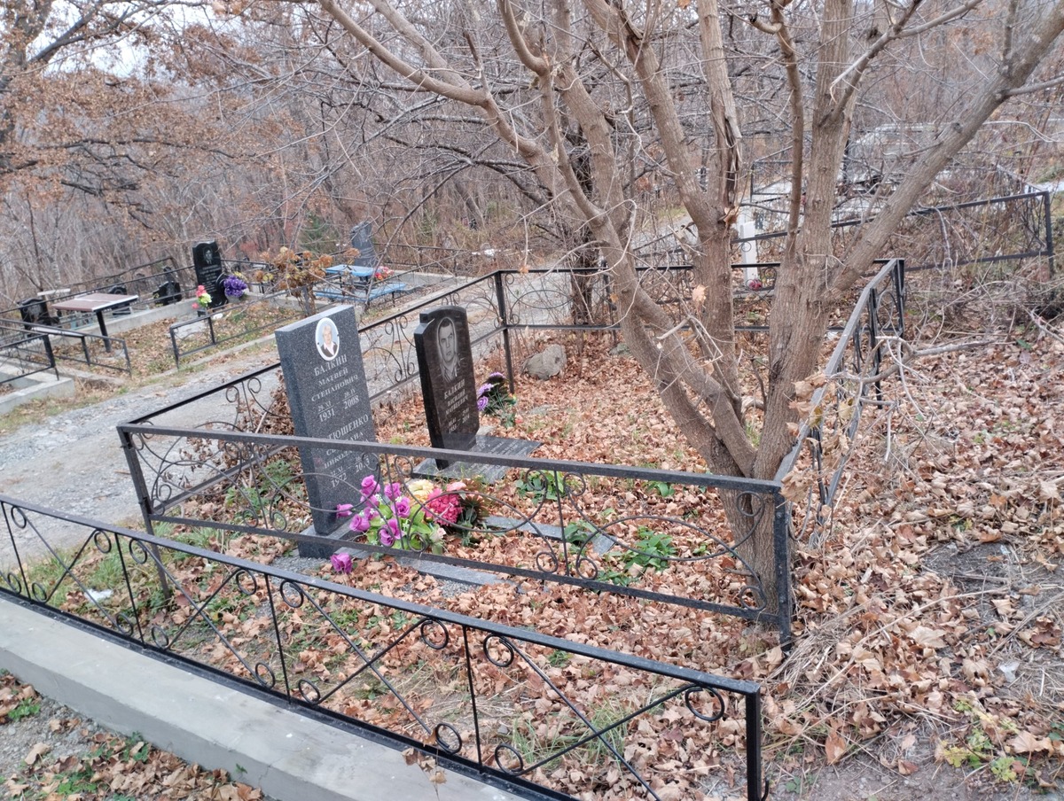 1fea2c37-4d06-4459-ac3a-ab6e75636c32 Балкин Матвей Степанович