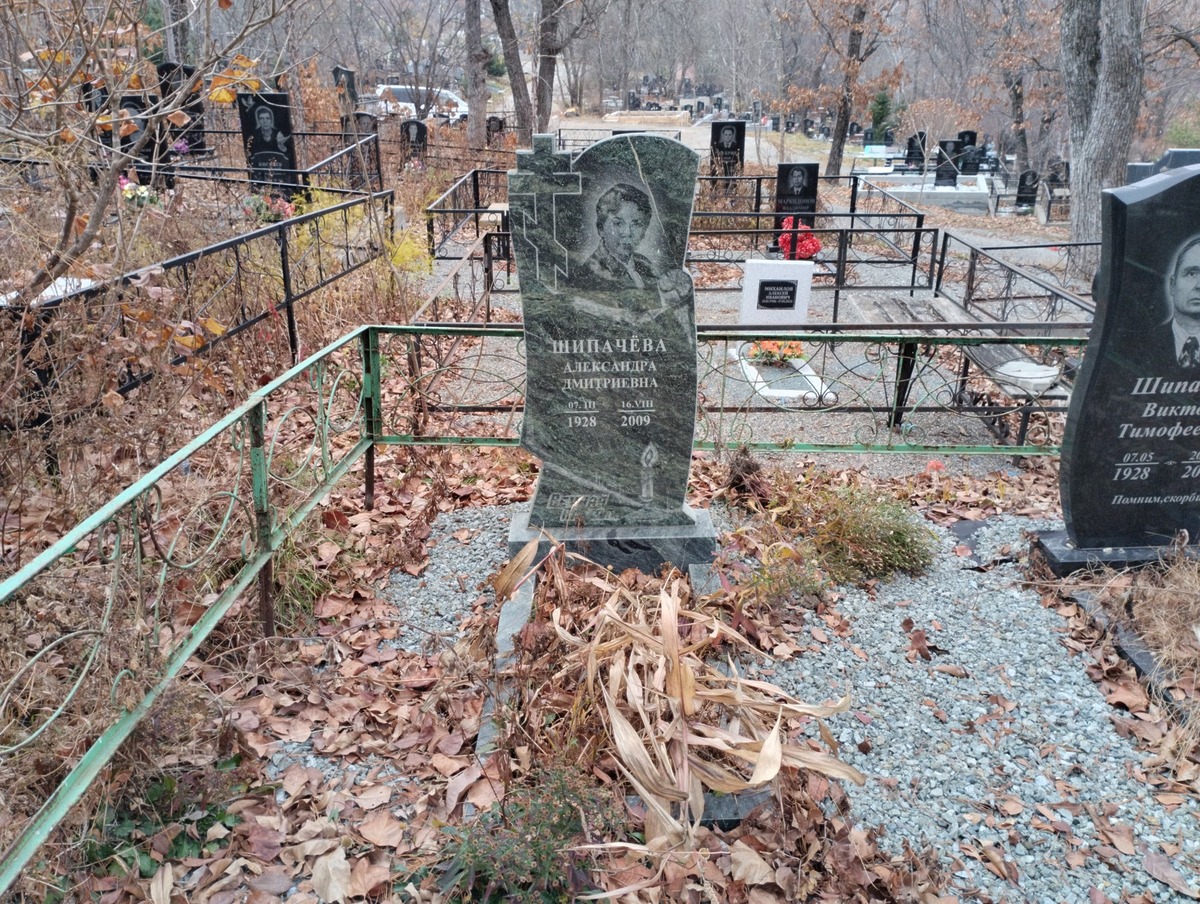 200b9476-a663-4a47-b4b8-e860d98ed8bf Шипачева Александра Дмитриевна