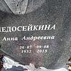 Недосейкина Анна Андреевна