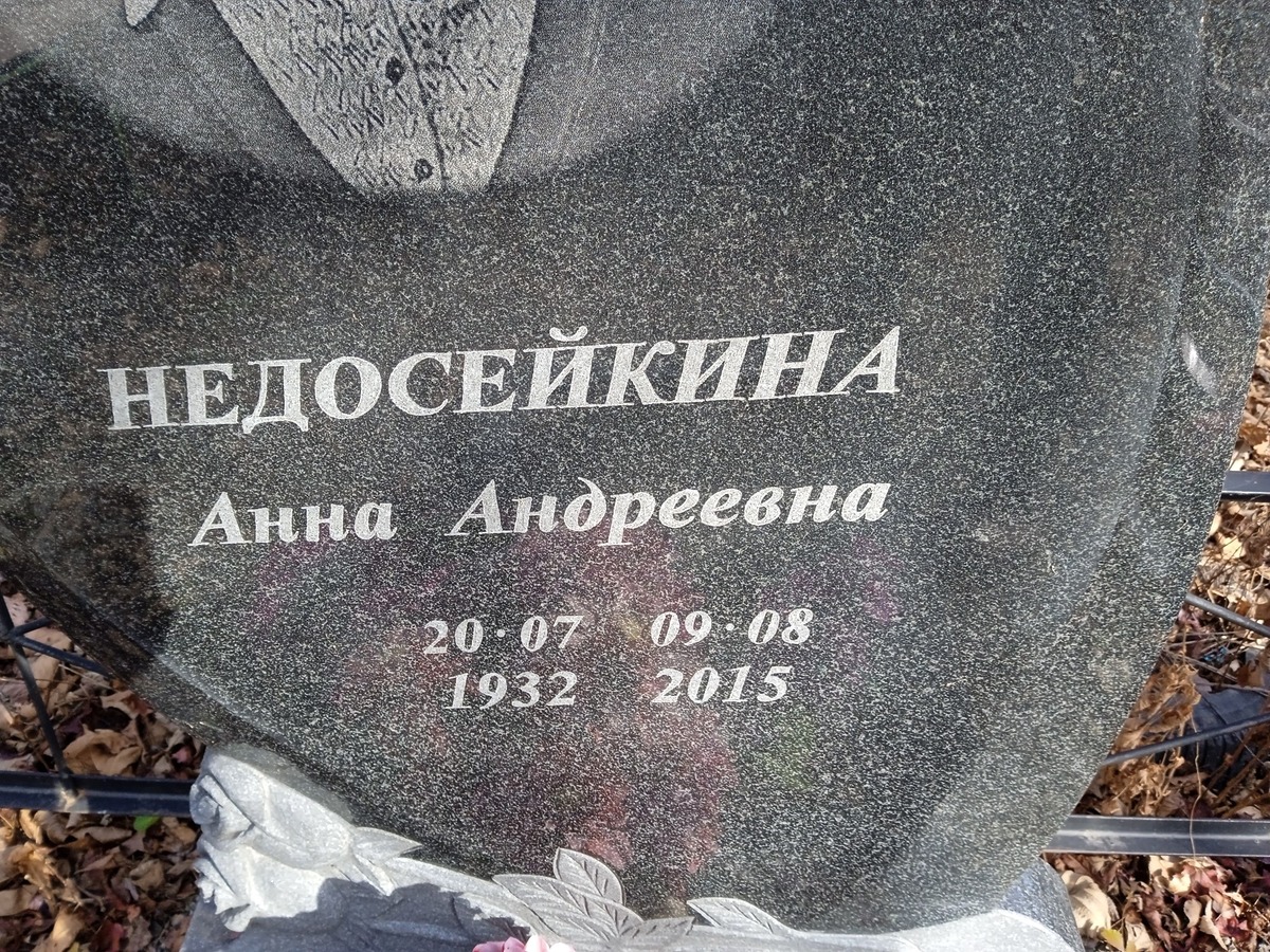 Недосейкина Анна Андреевна
