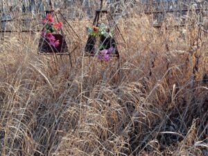 Неизвестно Неизвестно Неизвестно