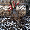 Малкина Ксенья Григорьевна