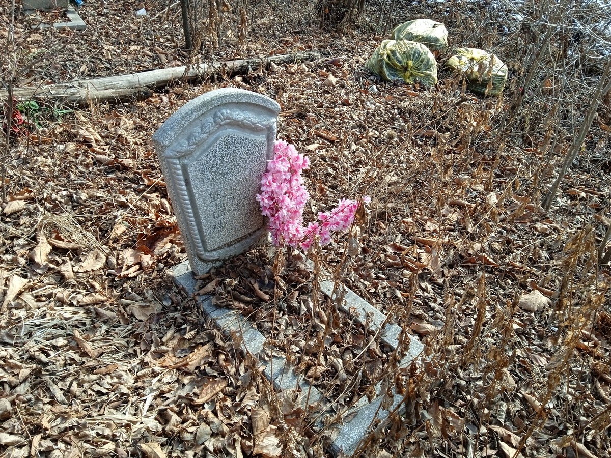 Недодел Виталий Сергеевич