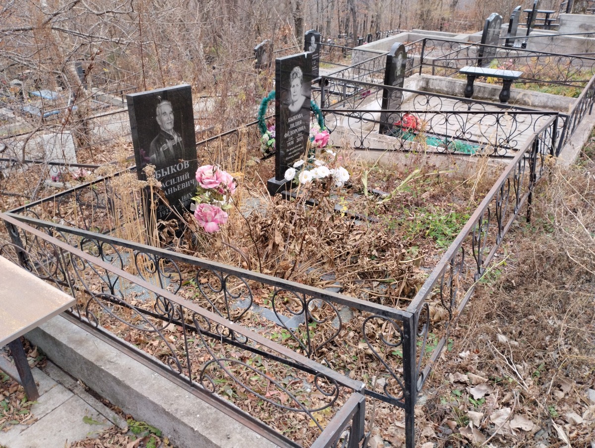 22f01946-bcf7-4f6f-9443-1d7975e5a968 Быков Василий Ананьевич