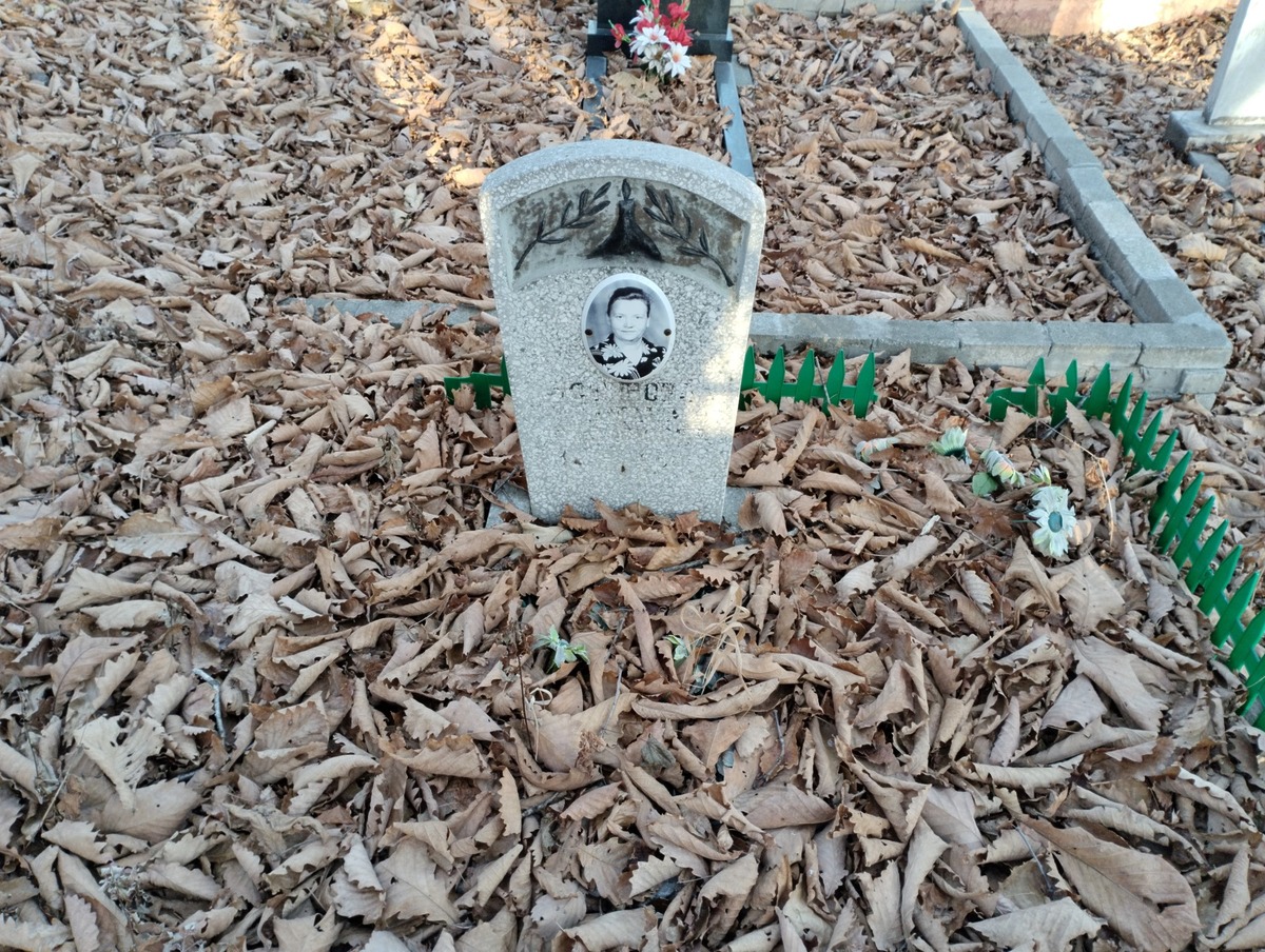 Ботинова Неизвестно Неизвестно