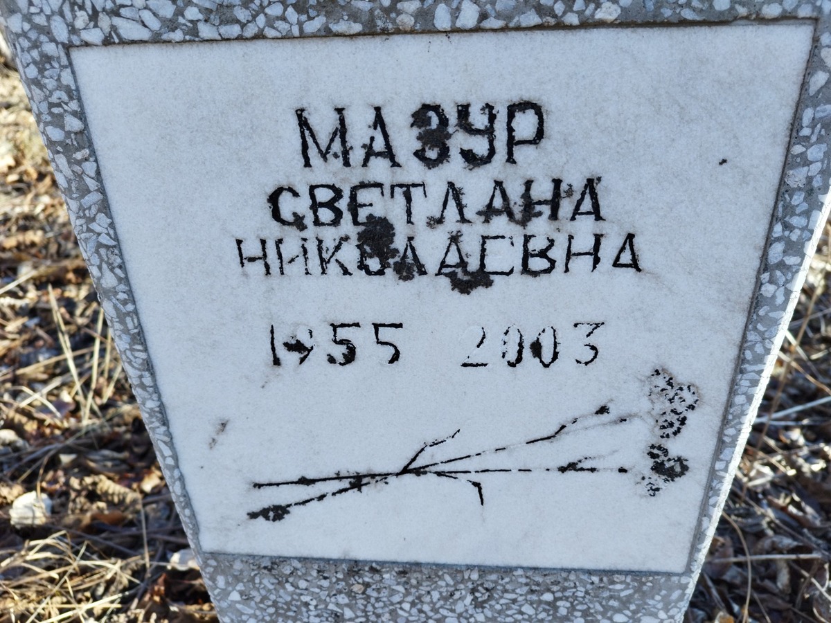 23a8fc0f-46bb-4528-b8f5-a60d3b3e1322 Мазур Светлана Николаевна