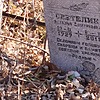 Светелик Наталья Дмитриевна
