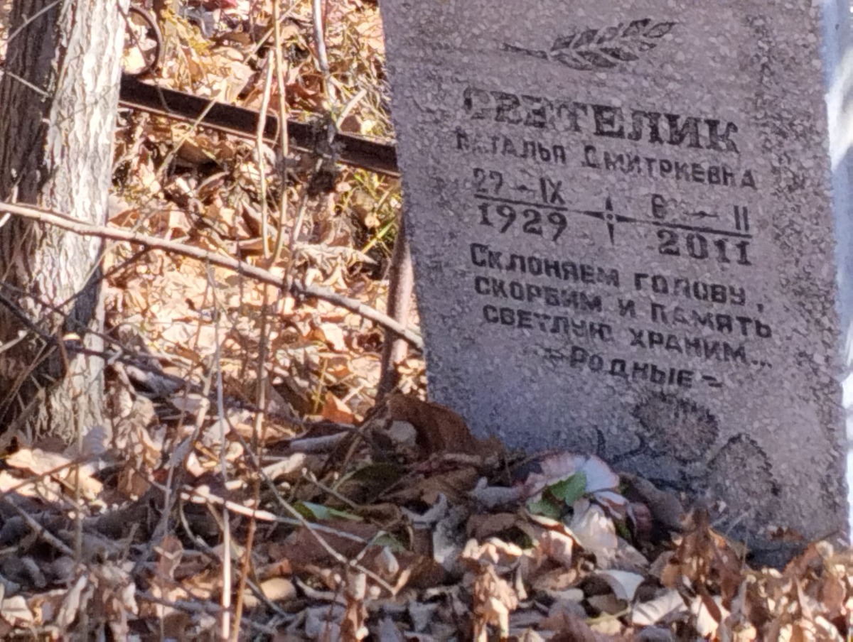 Светелик Наталья Дмитриевна