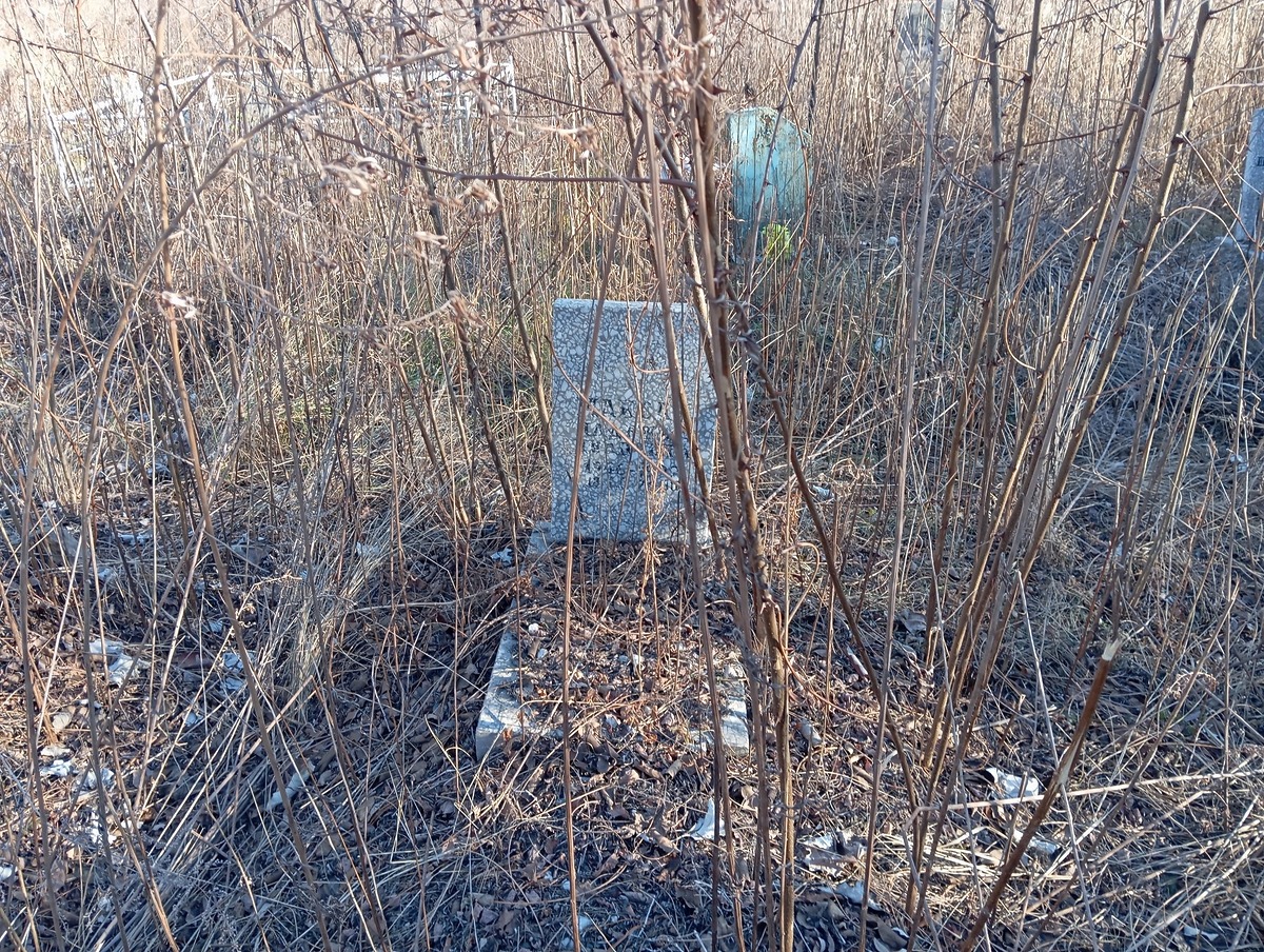 275f12d9-6cd2-4643-b93f-8991f2444aec Максак Надежда Ивановна