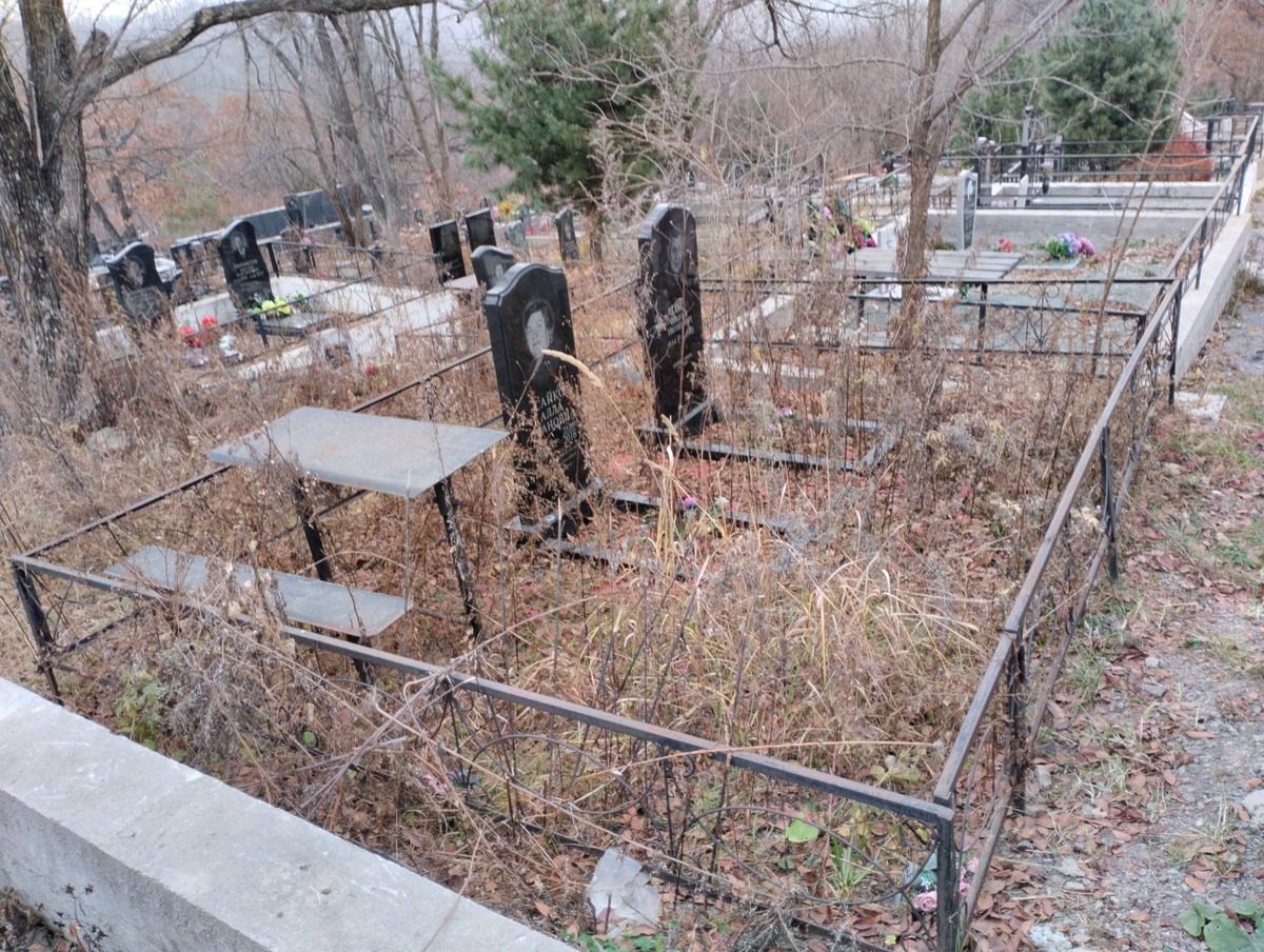 27e00218-b375-496c-9eec-4413bd84f0ec Сайко Алла Ивановна