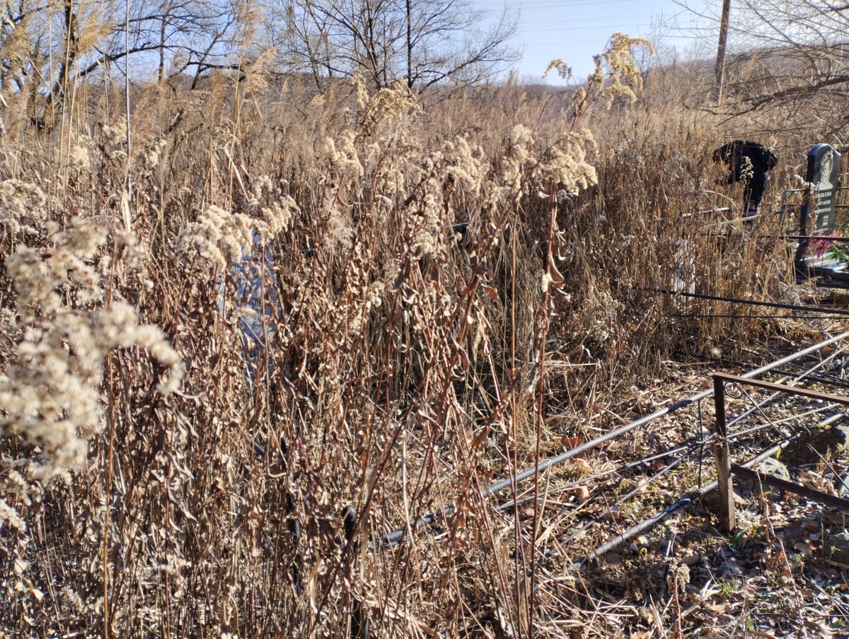 Манаков Роман Александрович