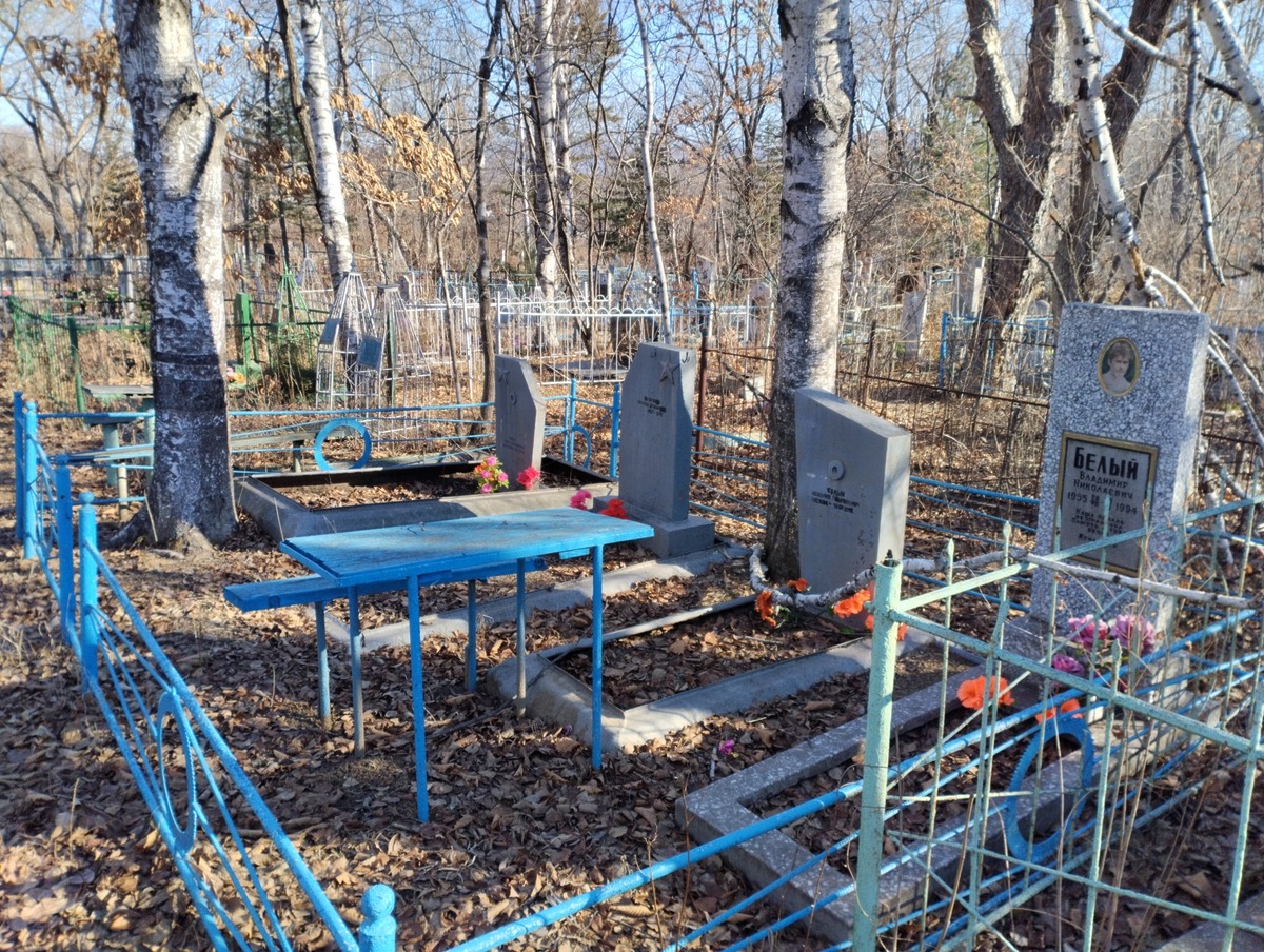 2d8ffcf5-bed1-4d3c-a488-862d0212732b Белая Анна Николаевна