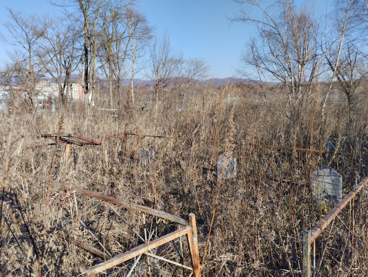 Меданникова Наталья Владимировна