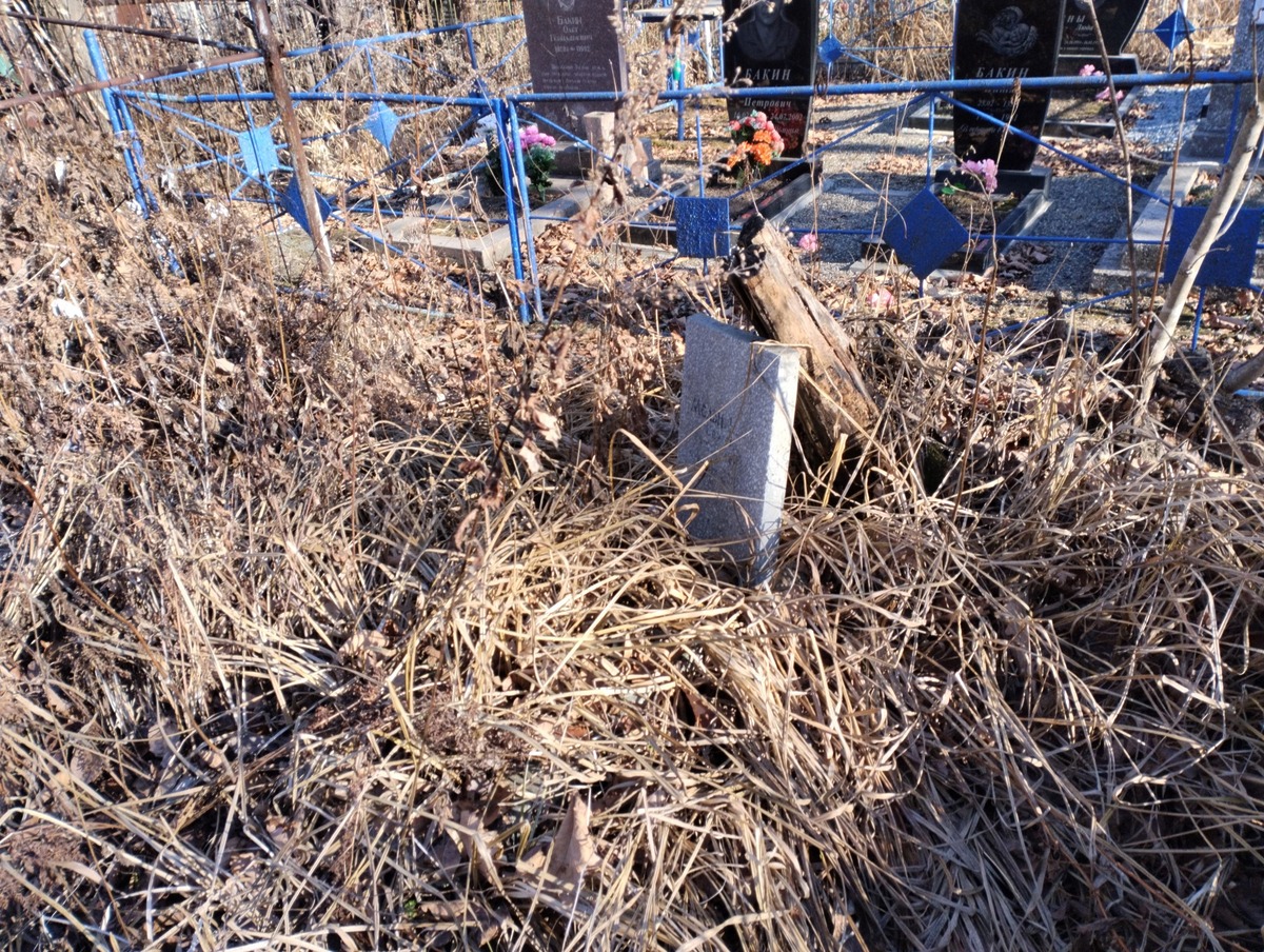 2eb0eba4-f608-4ed9-aad3-85f3e6f8c74f Мельников Сергей Григорьевич