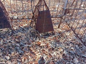 Кривцов Алексей Витальевич