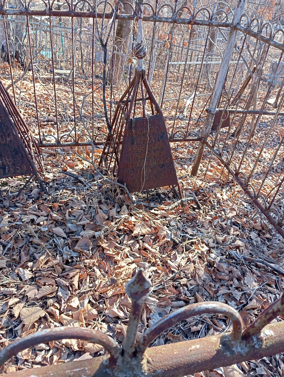 Кривцов Алексей Витальевич