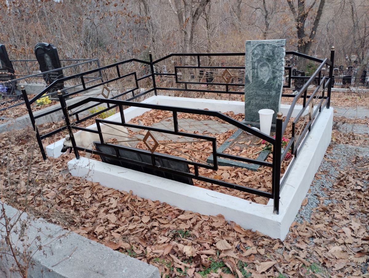 2ef27e7e-72a0-49de-96e7-7a02de2cf009 Престинский Иван Сергеевич