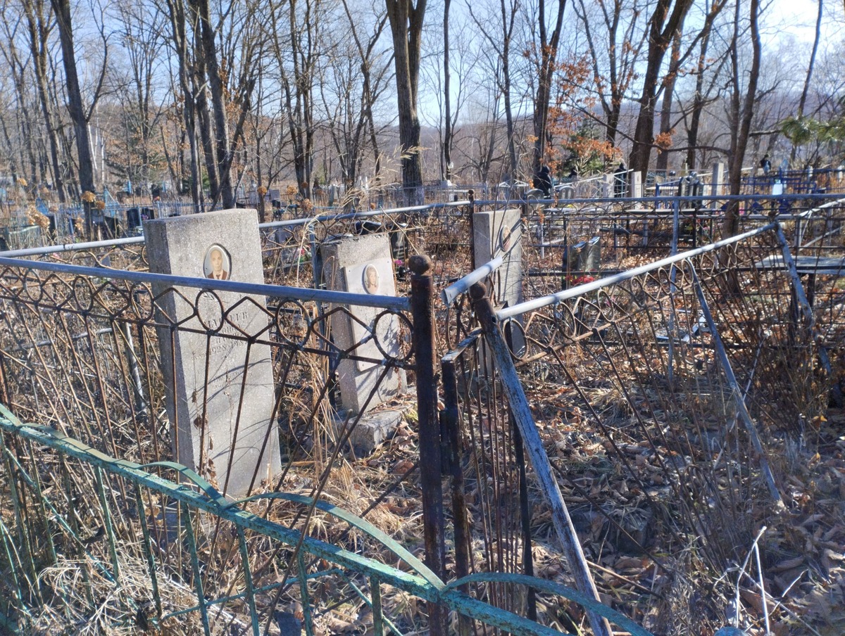 2f565f8d-f6ef-4221-915c-bb44b0aa941b Матвеев Леонид Ильич