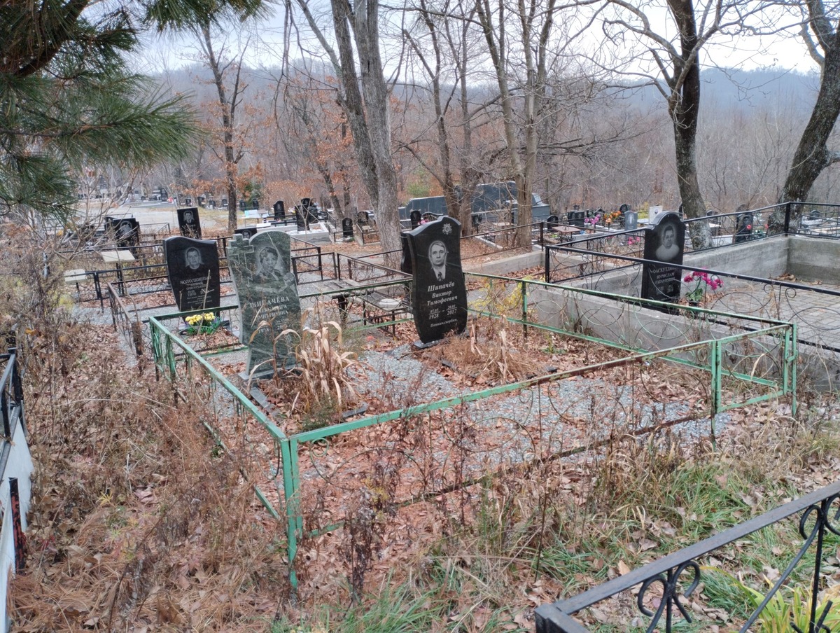 3148e06d-31e9-4d35-9a6d-7d9e1922cf9b Шипачева Александра Дмитриевна