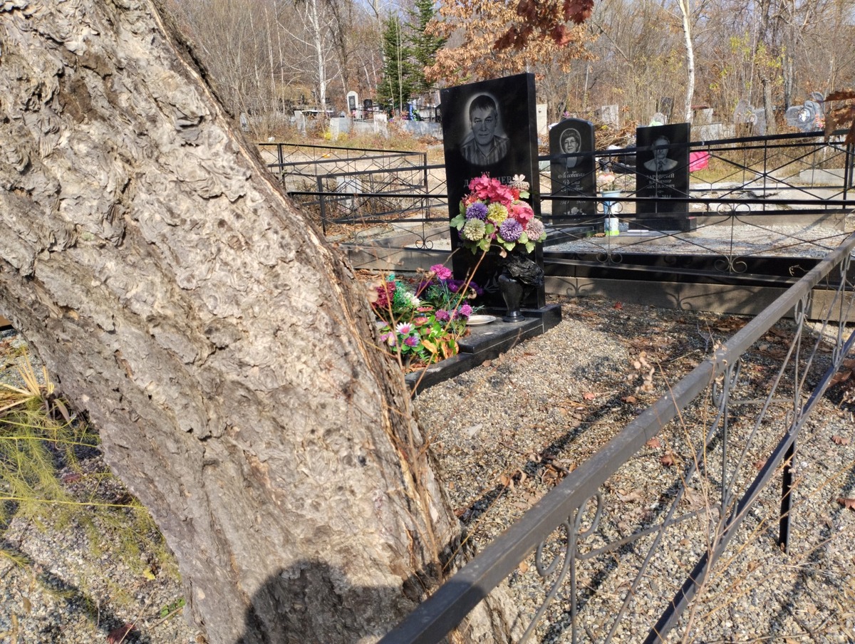 Далишнев Игорь Евгеньевич