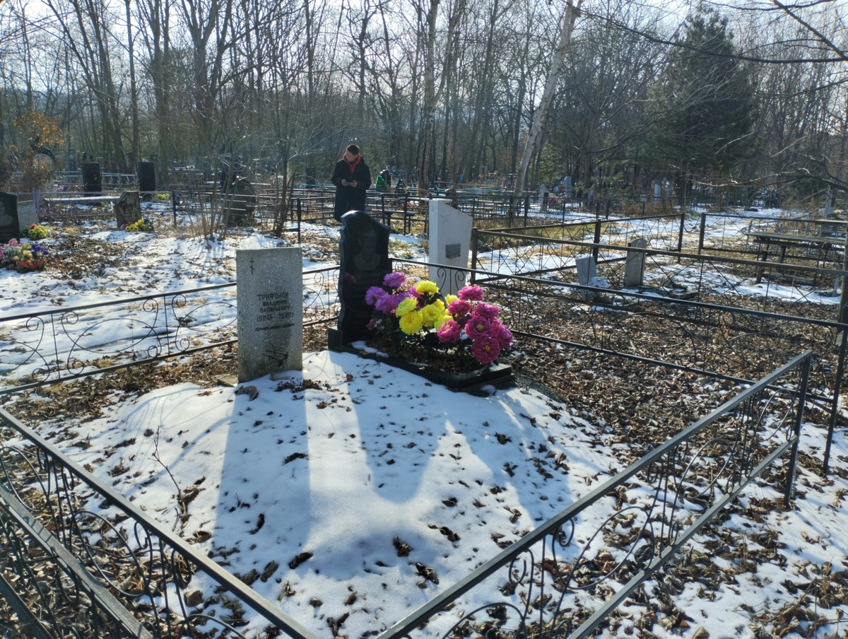 319a86aa-90c6-4808-8bd7-53255730bbb1 Трифонов Владимир Васильевич