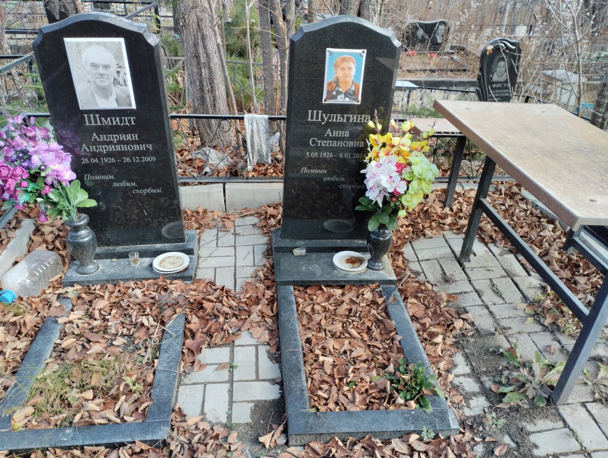 31ff0864-ce60-4960-ba87-3e41e6ce9820 Шульгина Анна Степановна