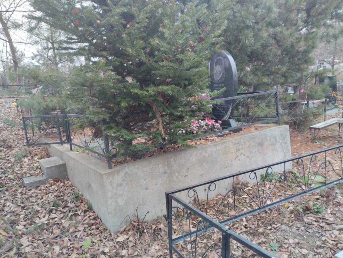 32a815d5-6c4c-4314-8505-213f509e81cf Швалева Людмила Васильевна