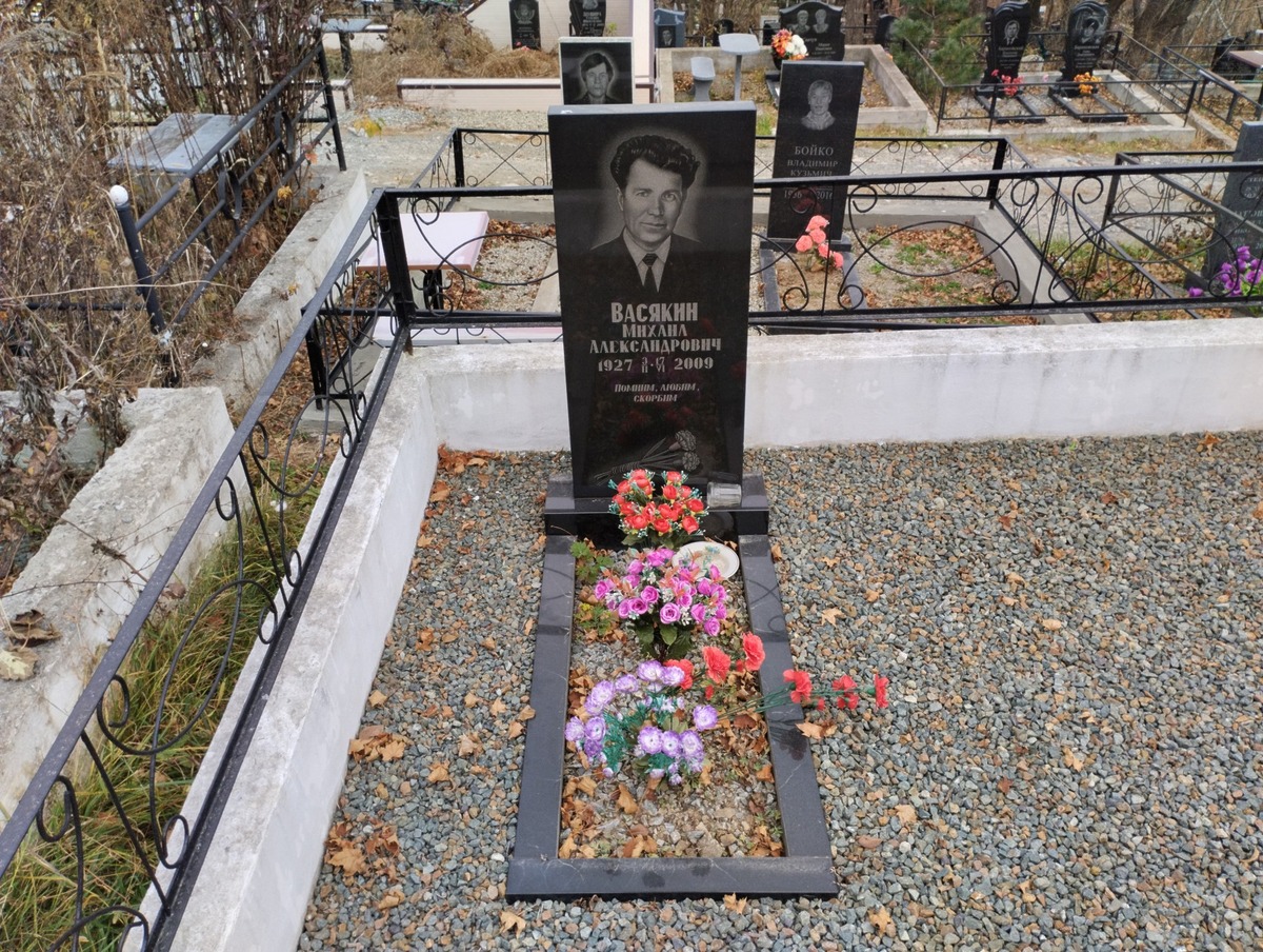 33d2fa51-a2cd-4cae-97cb-61a701987209 Васякин Михаил Александрович