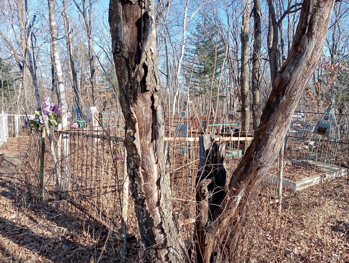 346deb85-9f82-461f-afb7-f6f2a5ee968d Марченко Алексей Павлович