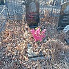 Ахметова Минисса Неизвестно