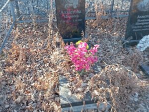 Ахметова Минисса Неизвестно