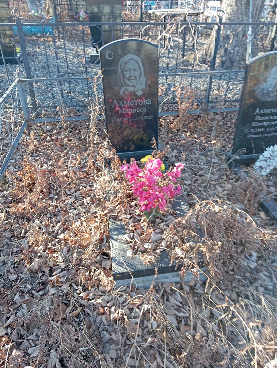 Ахметова Минисса Неизвестно