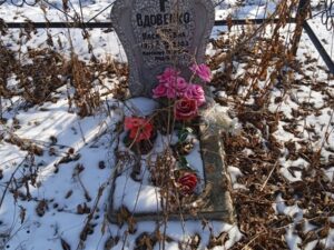 Вдовенко Анна Васильевна