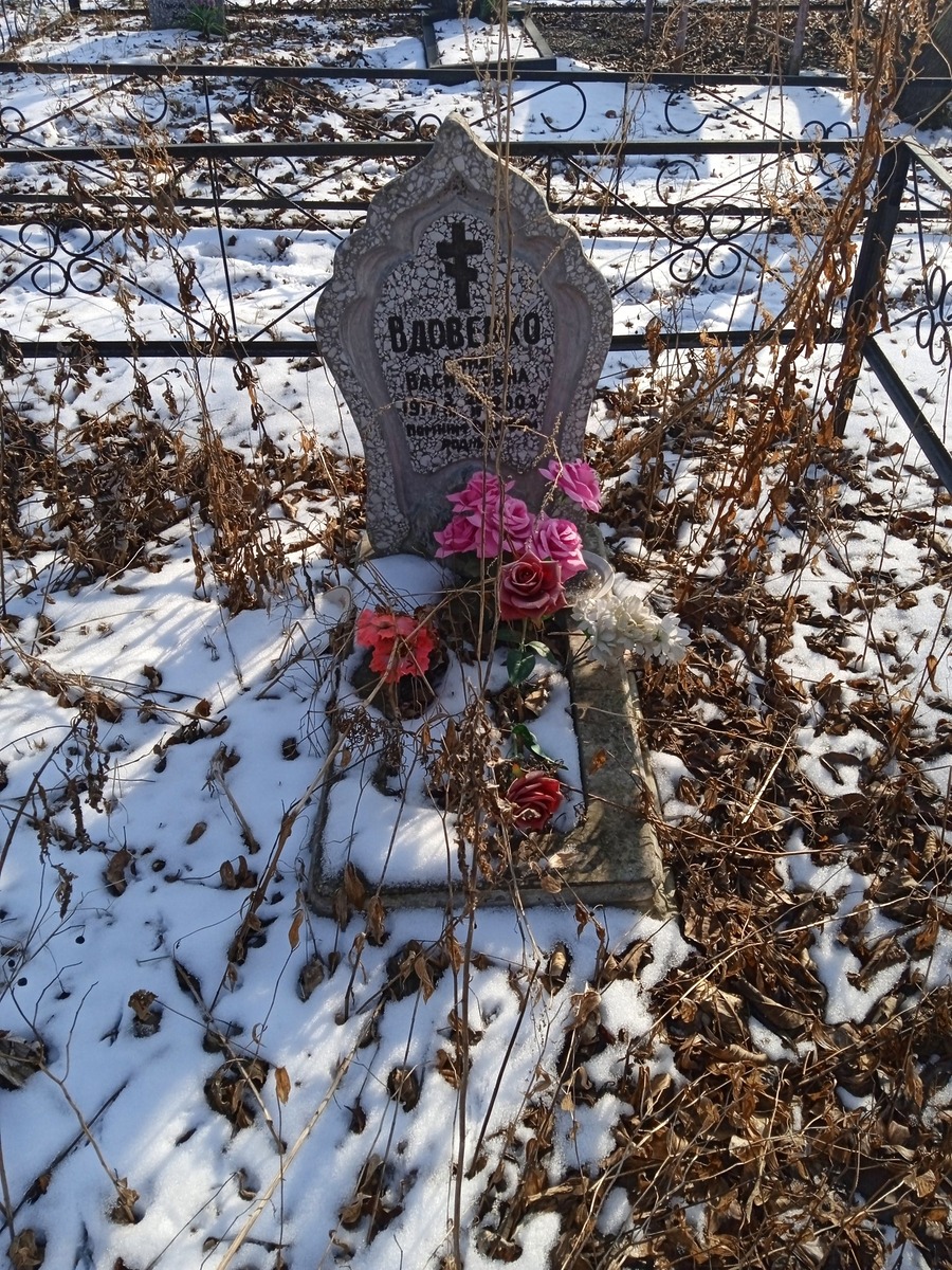 Вдовенко Анна Васильевна