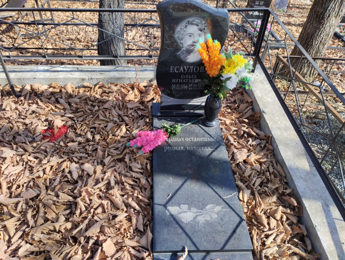 396f235a-2a10-47d8-8079-b1d2657f2dd8 Есаулова Ольга Игнатьевна