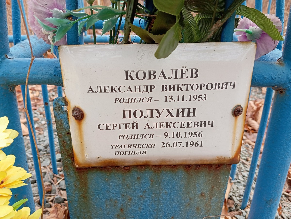 3c19d8ec-35df-4503-8001-6994090364bb Полухин Сергей Алексеевич
