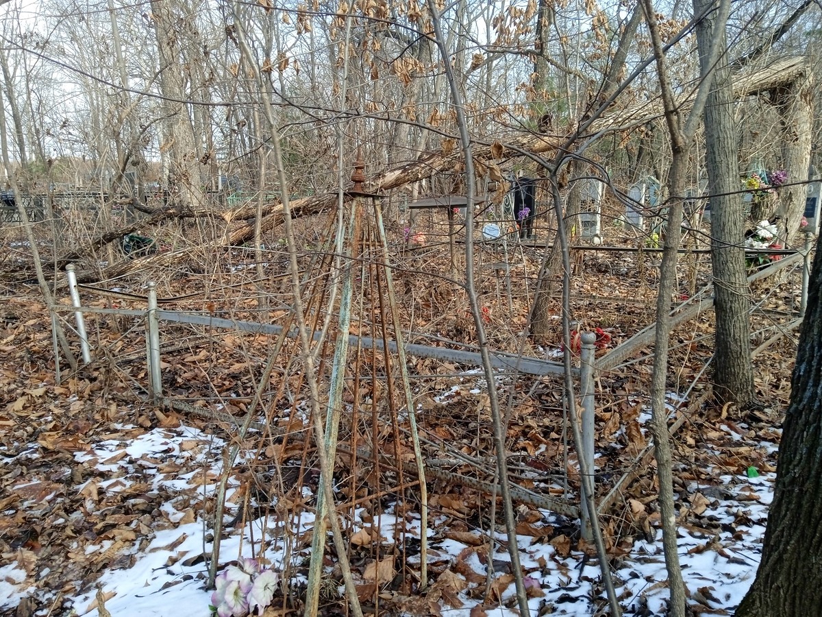 Голик Савелий Фомич