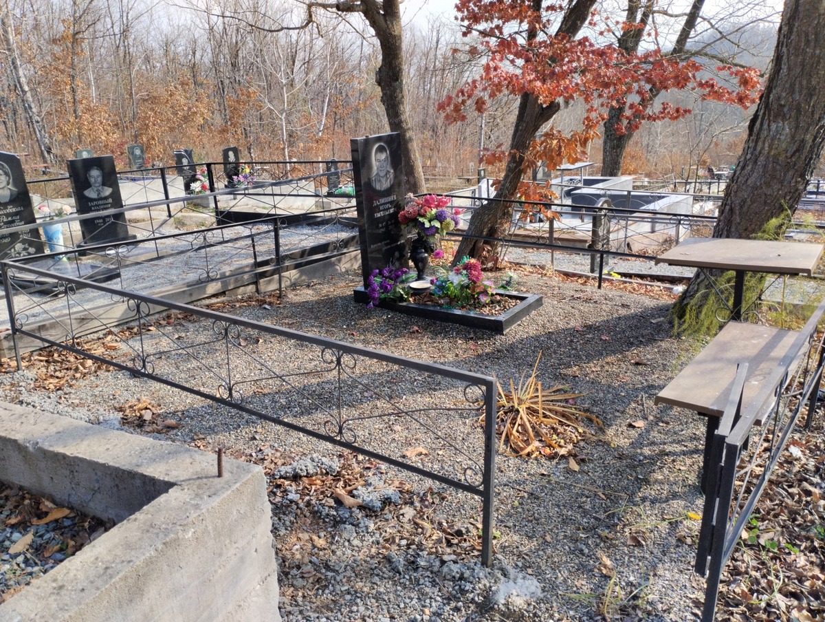 Далишнев Игорь Евгеньевич