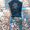 Лимина Александра Сергеевна