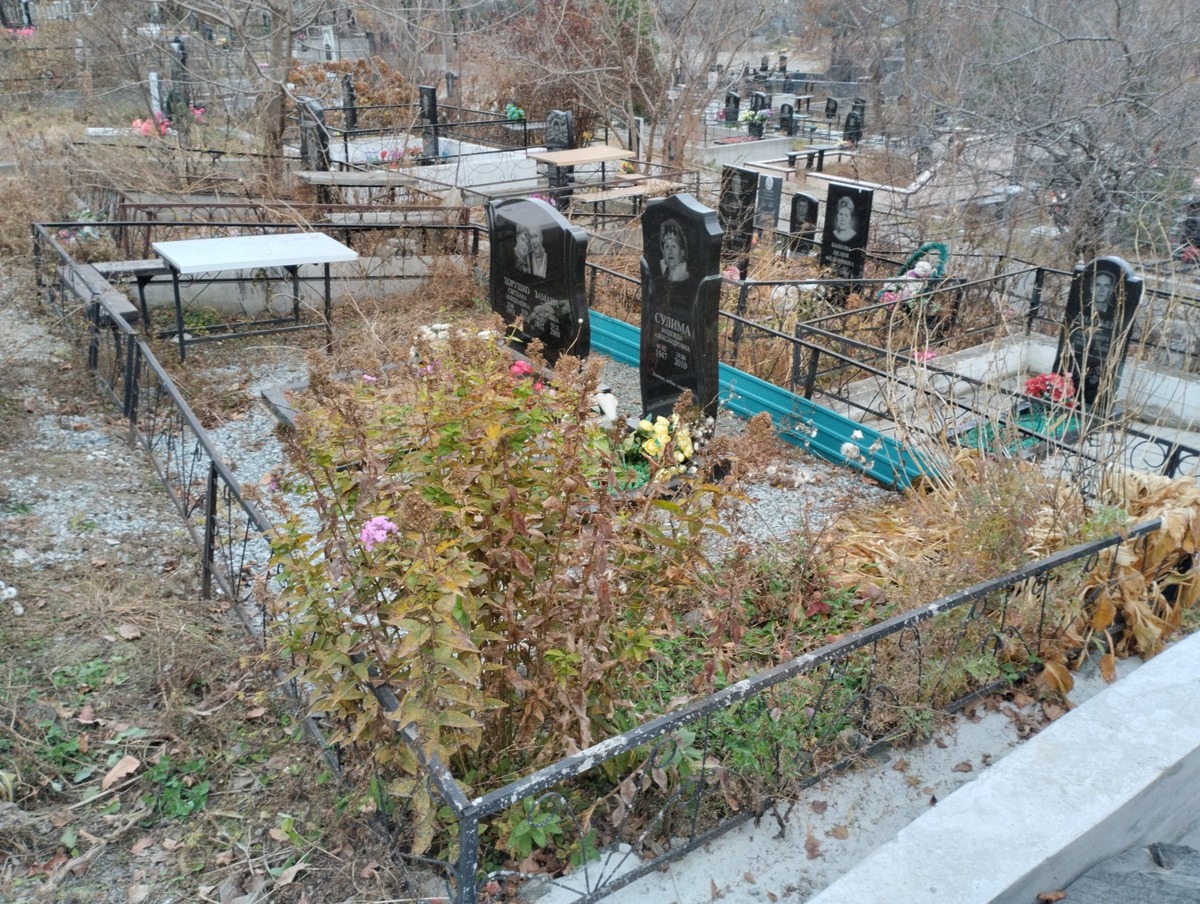 3ea32bee-9021-4ea4-b48e-a80a82538330 Замана Лидия Федоровна
