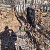 Новой Виктор Владимирович