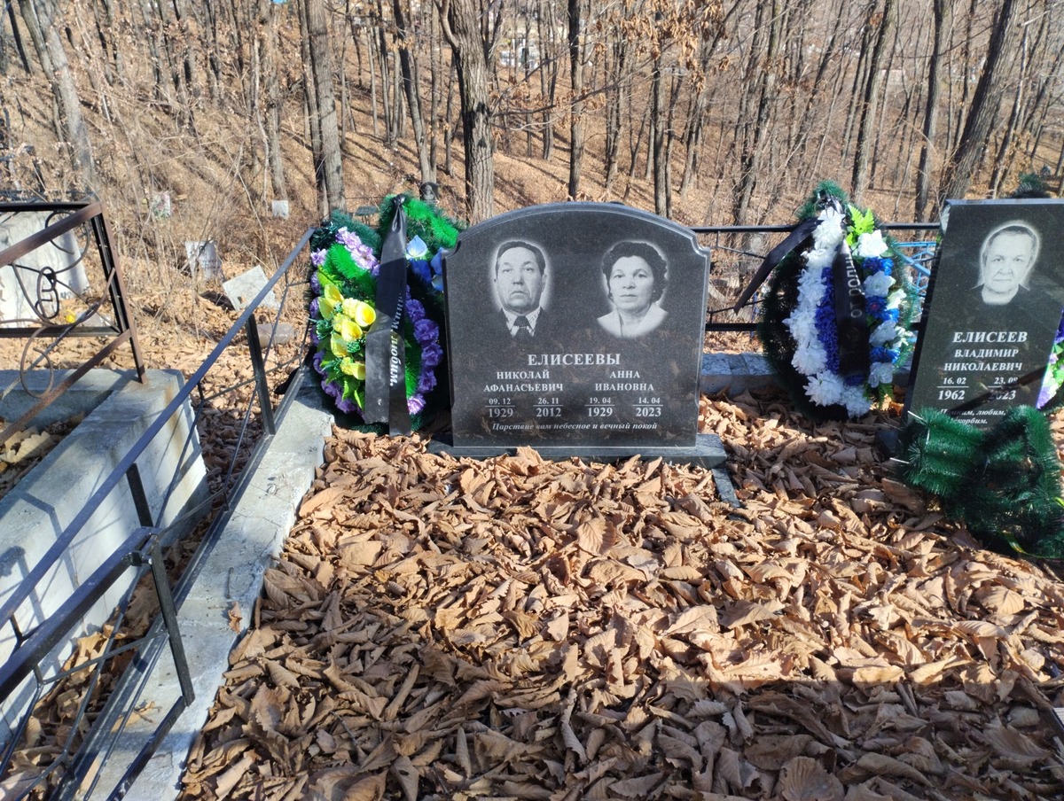 Елисеева Анна Ивановна