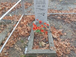 Осовалюк Анастасия Николаевна