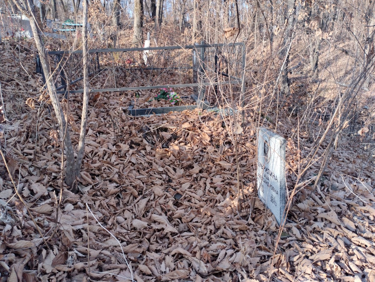 3f6901e9-412a-49b4-95b8-39750a4403c4 Зубрилина Аза Александровна