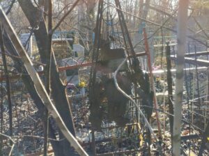 404ee6f9-eaca-43b0-81ba-c36f84c3a3e3 Кормес Анна Никитична