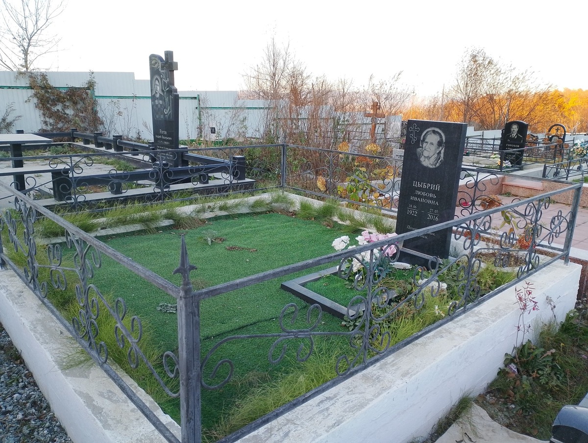 409f2d9e-d2c5-4321-862a-ab96691e1b27 Цыбрий Любовь Ивановна