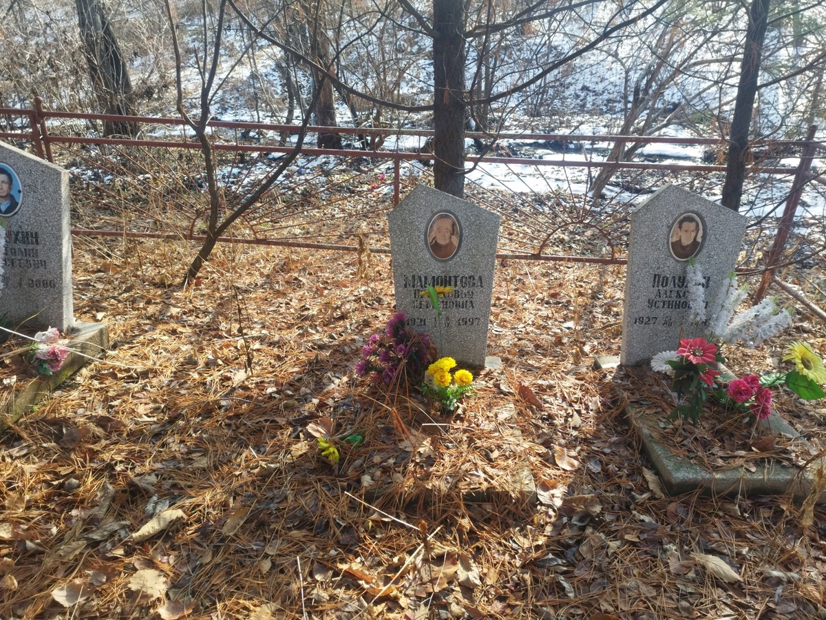 41764d77-6311-4bda-bc00-91bac90fe887 Мамонтова Просковья Семеновна